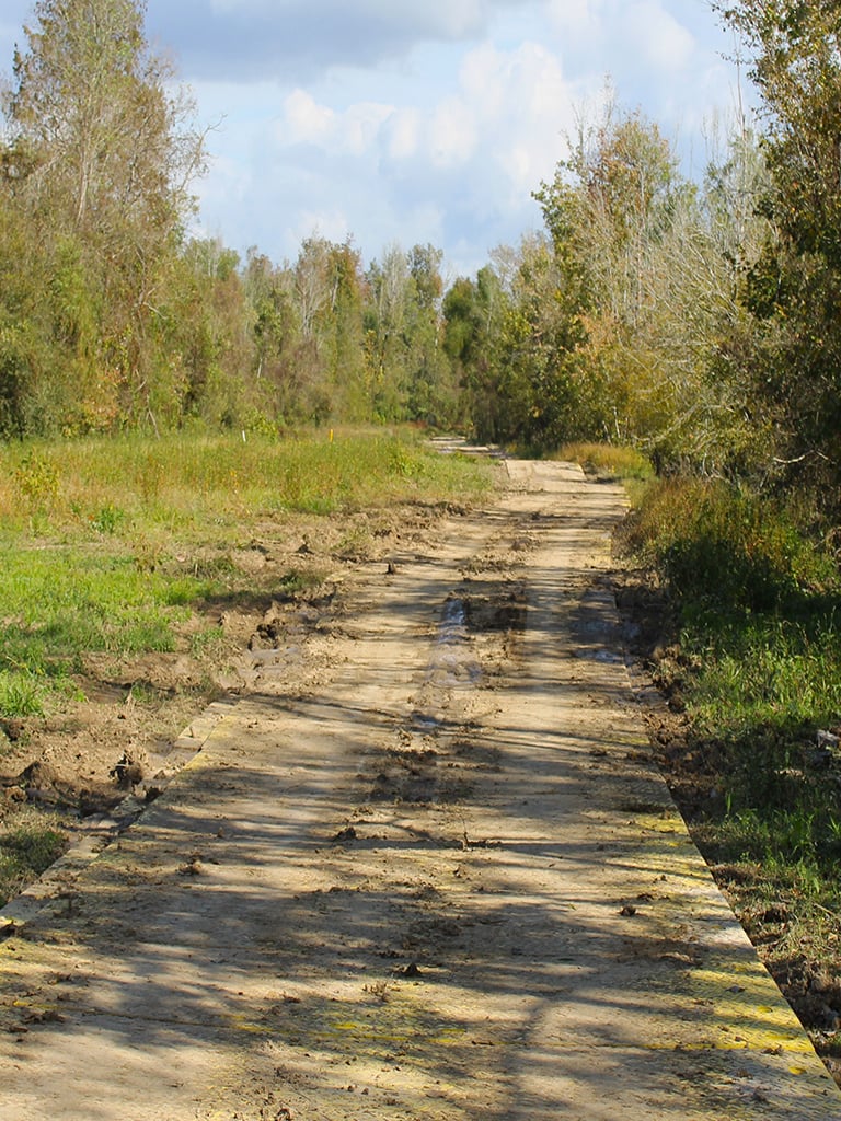 image6